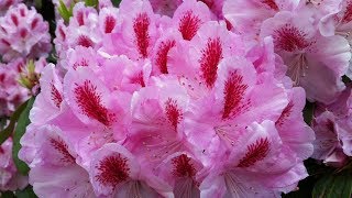 Grant's Getaways:  Oregon's Secret Garden