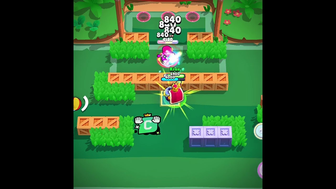 Bug Stars is back☠️
