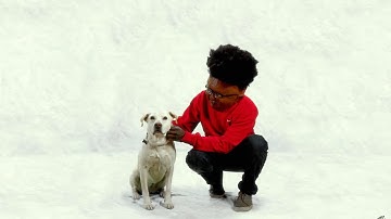 Toro y Moi - The Loop (Listening Party Video)