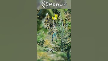 Airsoft Trigger Mod | Perun Clicker