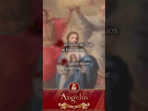 Video 06
