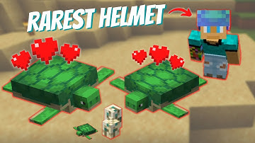 Unlock the Secrets to Breeding Turtles and Crafting a Turtle Helmet!