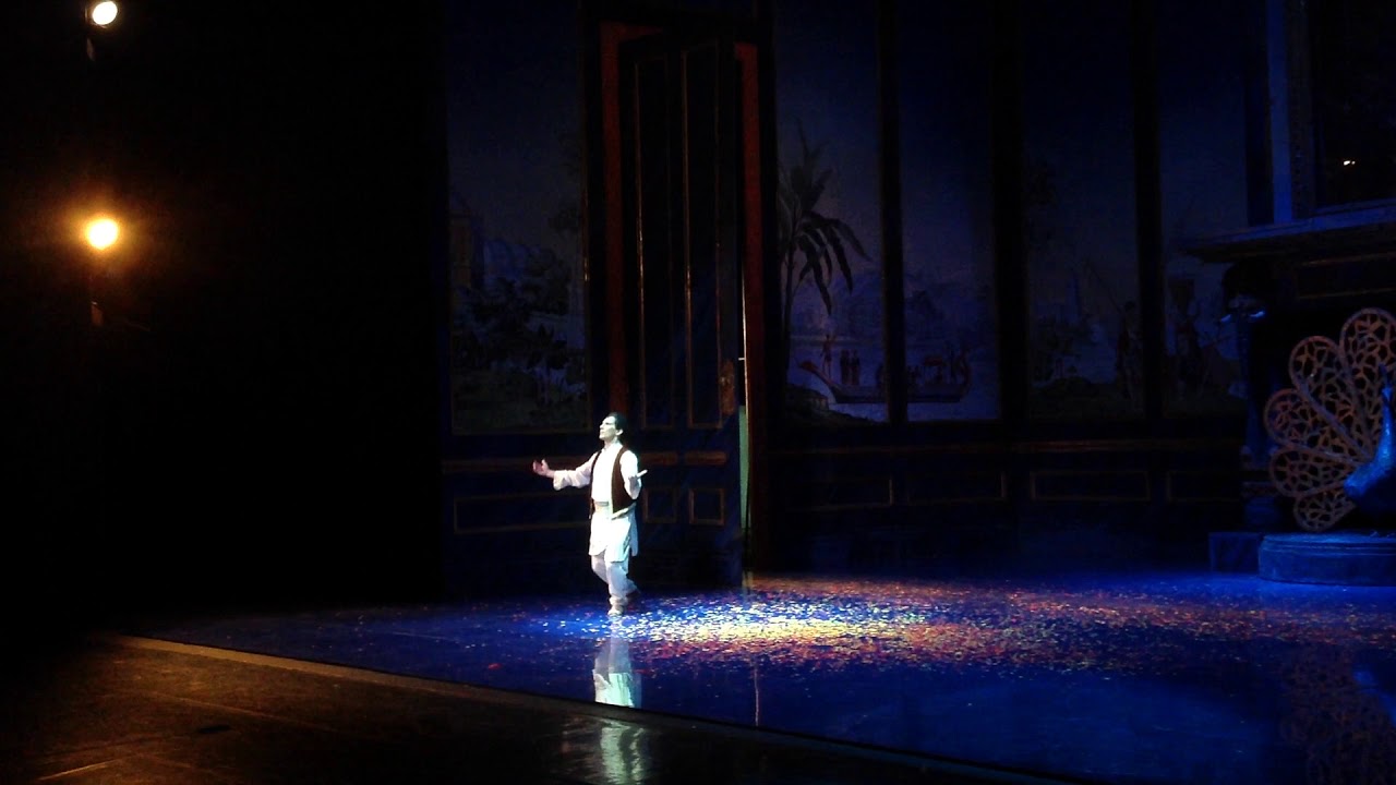 надир искатели жемчуга. ария надира искатели жемчуга. ария надира искатели жемчуга. бизе «искатели жемчуга». надира из оперы искатели жемчуга.