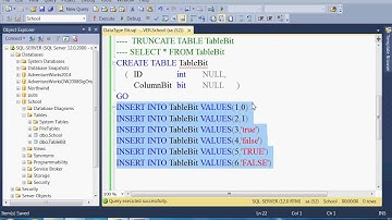 SQL Server DataType 1 Bit