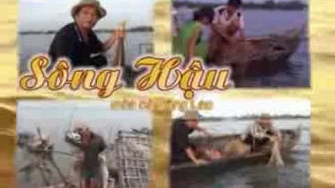 Sông hậu - Mùa cá Bông lau - www.nhipsongdongbang.com