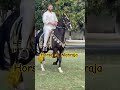 Horse mahraja wah ghora wah beautiful   beautifulhorse horsebeauty horselover