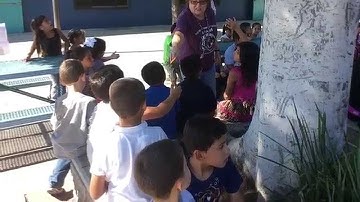 Positive Behavior Interventions & Supports (PBIS)