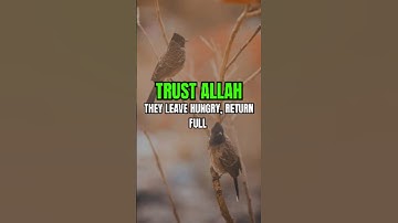 The Secret of Tawakkul — Learn from the Birds 🕊️ | Hisham Abu Yusuf #motivation #islamicreminder