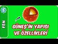 Güneş'in Yapısı ve Özellikleri |  5.Sınıf Fen evokul Kampı