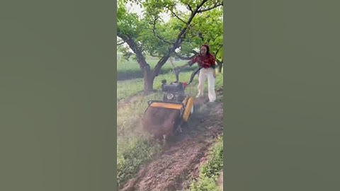 Máy cày xới đất mini máy cắt băm làm cỏ nông nghiệp máy rạch rãnh vun luống đa năng #automobile