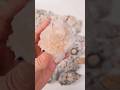 Fish eye stone