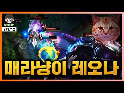 [LOL]눈 호강이 2배?! 매라의 빛나는 플레이와 눈길을 끄는 고양이!