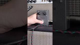 Victor litz music DeMarco electronics fuzz face GE demo
