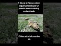 El Día de la Tierra o cómo seguir luchando por un planeta menos cálido y contaminado