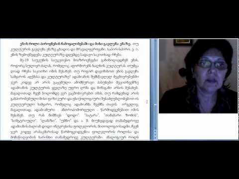 მაია თევზაძე,სოციოლინგვისტიკა 4.2