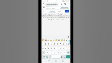 12th computer science practical program 2b mirror of the given string