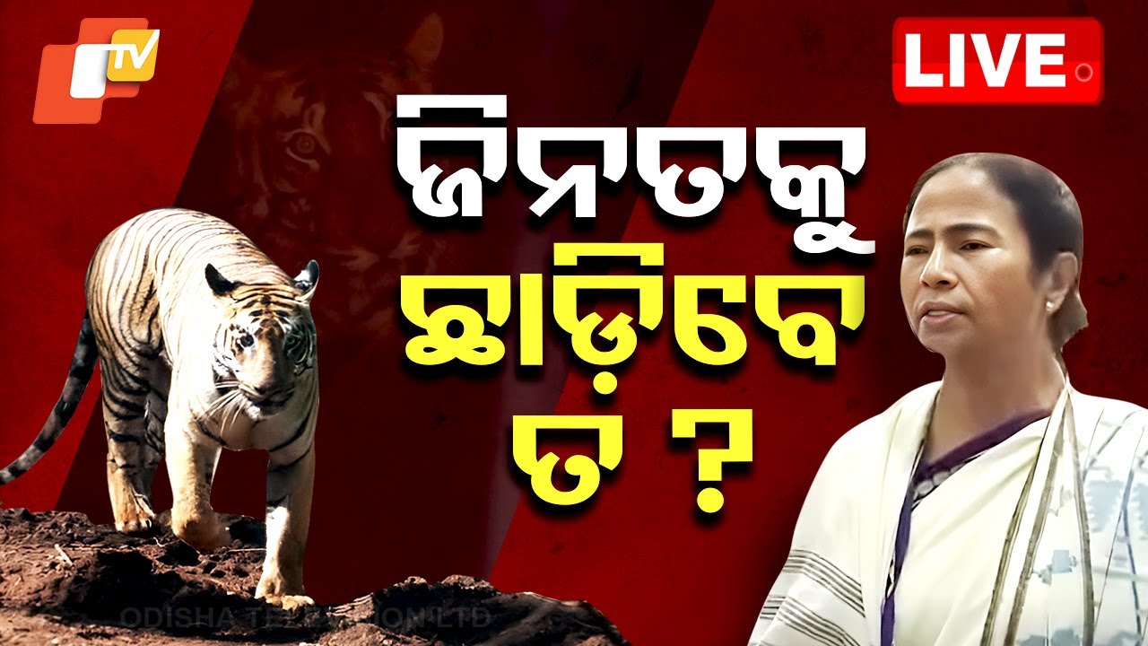 Live | ଫେରିବେ ତ ଜିନତ ? Tiger Zeenat | Odisha | West Bengal | CM Mamata Banerjee