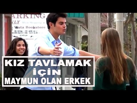 Scorp - Kız Tavlamak İçin Maymun Olan Erkek