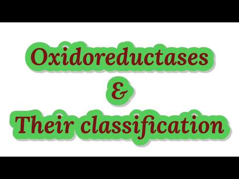 Video: Forskellen Mellem Reduktase Og Oxidoreduktase