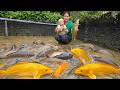 Catch Giant Fish with Just a Pump – Drain a Pond, Harvest Loads of Fish, and Sell at Market.