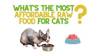 What is the most AFFORDABLE Raw Cat Food?  #sphynxexpert #rawcatfood