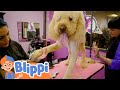 Blippi - Rescue Puppies Song! | BLIPPI | Educational Songs For Kids