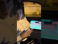 Wait for it #shorts #youtube #algorithm