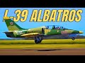 Own This Fighter Jet for $300,000 | Aero L-39 Albatros