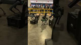Robot dog🤖 🐕 #bostondynamics #military #robot #dog #k9 #canine #tactical #drones #techology #recon