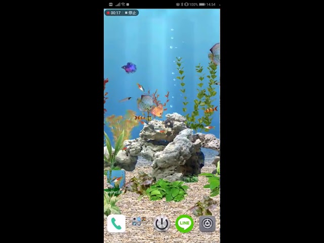 淡水熱帯魚ライブ壁紙 Youtube