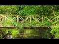 Peaceful Music, Relaxing Music, Beautiful Instrumental Music, "Bridge of Peace" by Tim Janis