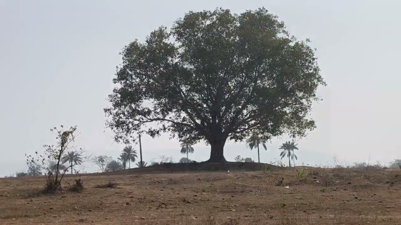 हमारा झारखण्ड 