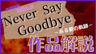 【宝塚】宙組公演『Never Sey Goodbye-ある愛の軌跡-』作品解説！【過去作品】