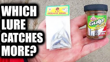 Crappie Shad vs Gulp Minnow - Which Fishing Lure Will Catch More Fish?