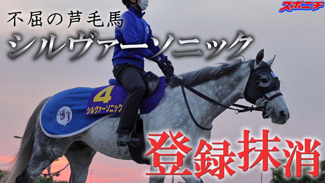 不屈の芦毛馬 シルヴァーソニック - YouTube