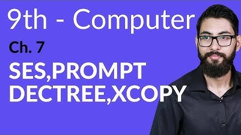 9th Class Computer - Ch 7 - Explain SES,Prompt Dec tree and Xcopy - Matric Part 1 Computer