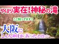 ⚠️やはり大阪に実在！ここ大阪？【意賀美神社】龍神様の聖地でした