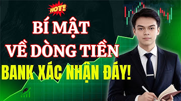 Cảnh Báo: Bí Mật Dòng Tiền Thông Minh Quay Lại. Top Các Cổ Phiếu Đang Được Cá Mập Vào Hàng!