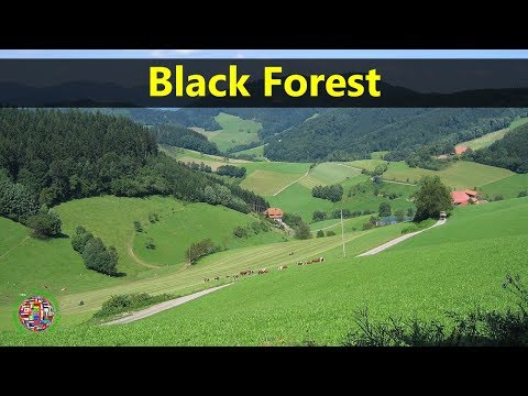 best-tourist-attractions-places-to-travel-in-germany-|-black-forest-destination-spot