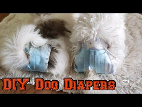 DIY DOG DIAPER | TIPID & SIMPLE DIY GUIDE
