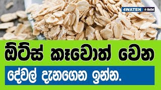 ඕට්ස් කෑවොත් වෙන දේ මෙන්න : Benefits of oatmeal