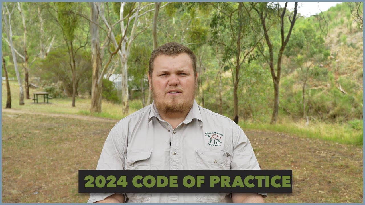 2024 Duck and Quail season conditions outlined