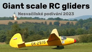 Z-24 Krajanek 2X Lg-125 Sohaj Go 3 Minimoa Giant Scale Rc Gliders 4K Nesvacily 2023