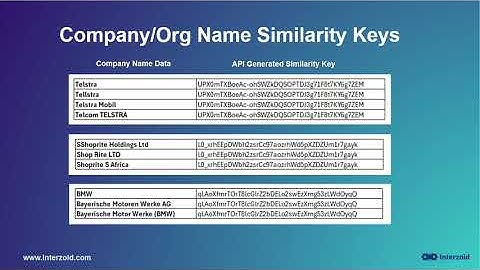 Match Company Names, Individual Names, and Street Addresses using Interzoid