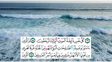 سورة العنكبوت من الايه ٥٥ إلى الايه ٦١ | يا عبادي | عبد الرحمن مسعد | Quran | surah al ankaboot