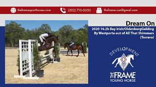 Dream On ** Hunter Schooling