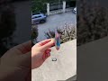 This Toy Never Stops Jumping! 😱