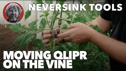How to Move the Qlipr Clip on the Vine