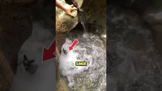 Mysterious Hands Make Residents Excitedviralreels virals actingchallenge marriagepropo