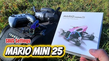 Speedybee Mario Mini 25 Review Test (SBUS Settings) 04 Pro version
